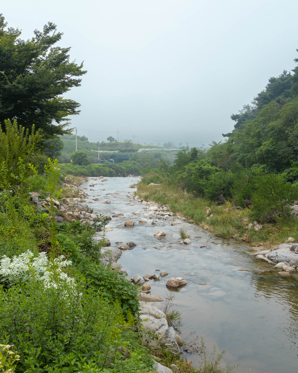 군위 가볼만한곳 동산계곡 근처 군위 카페우즈 Woods 폭포뷰 멋져요!