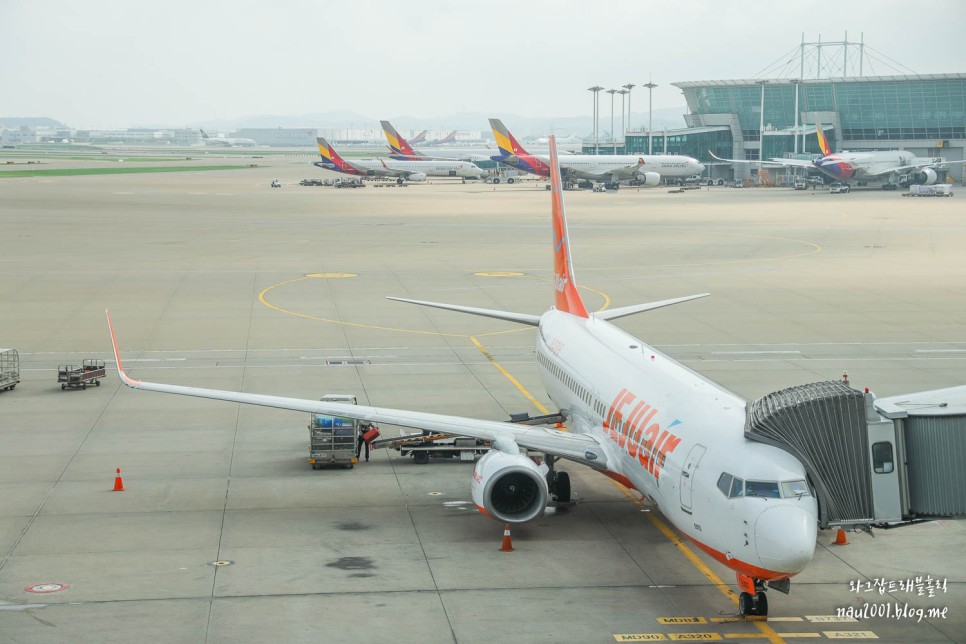 괌 인천 제주항공 탑승후기 항공권 가격,입국서류 수속