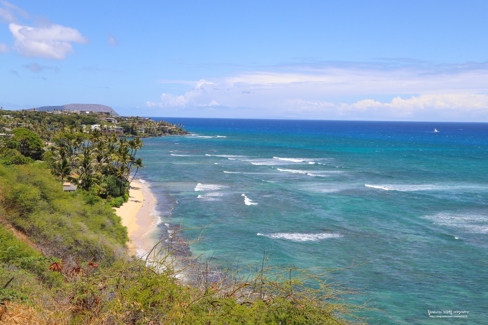 해외휴양지 하와이 입국 서류 심사 + 하와이 유심 10%할인 정보