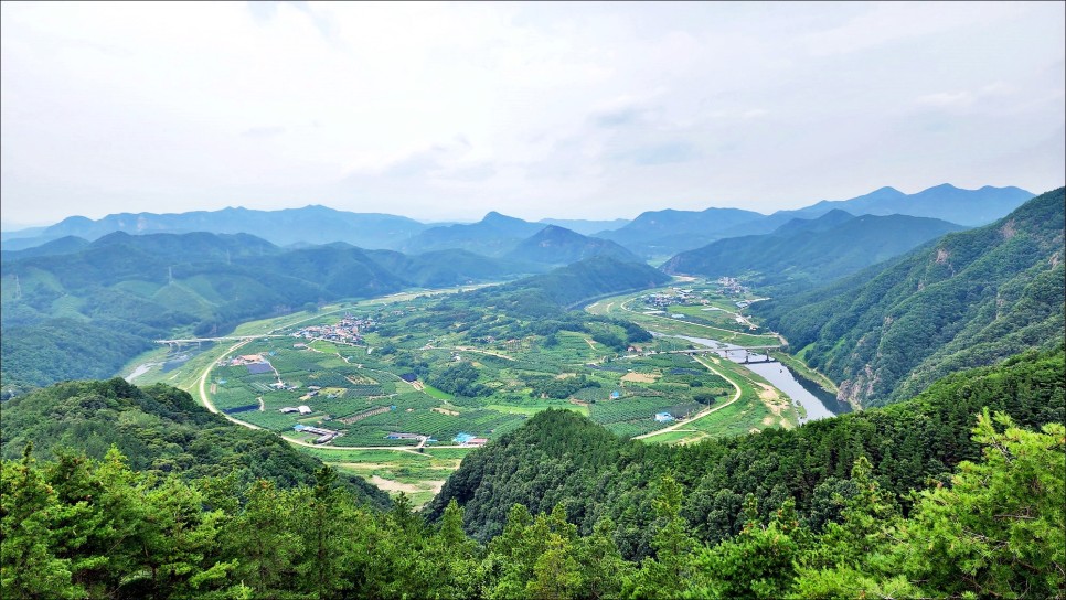 전라도 여행지 추천 무주 가볼만한곳 향로산자연휴양림 모노레일 무주여행!