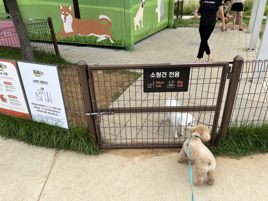 안성 비올때 갈만한곳 ☂ 애견동반 가능한 안성 스타필드 쇼핑, 식당, 운동장, 매장 정보