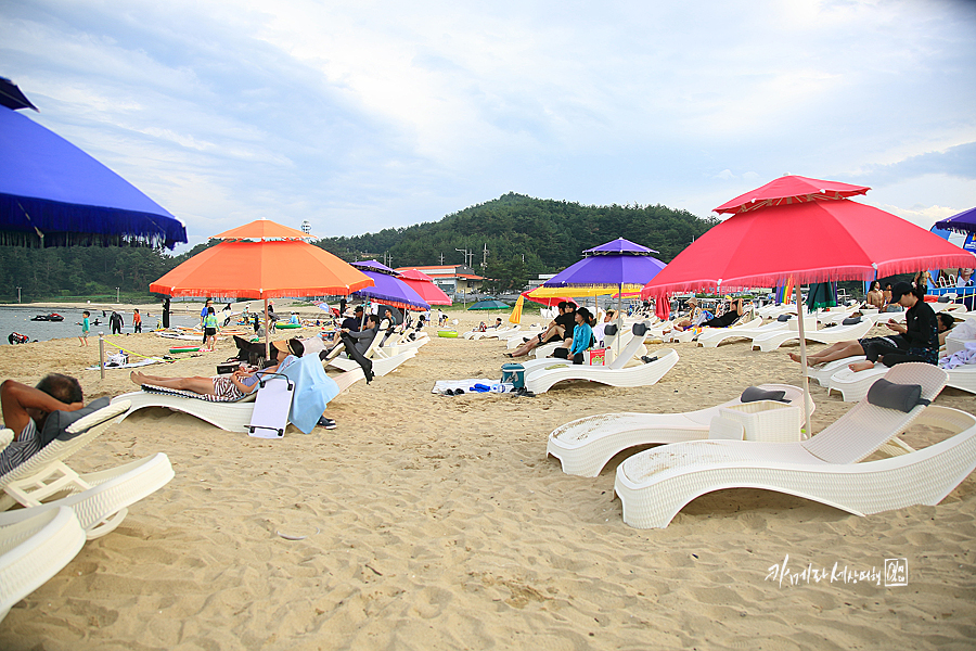 강원도 양양 가볼만한곳 해변 바다 레인보우비치 페스티벌 놀거리 먹거리