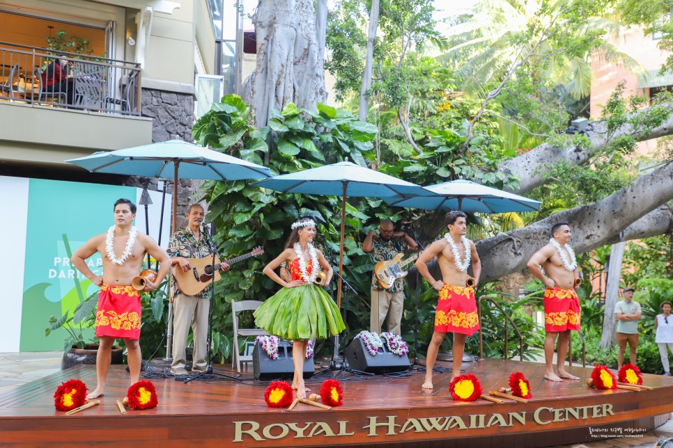 하와이 신혼여행 투어도 액티비티도 특별하게!
