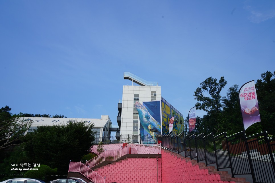 김포 갈만한곳 우영우 촬영지 김포카페 수산공원