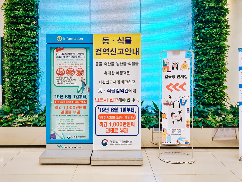 다낭공항 무료 신속항원검사 라운지 한국 인천공항 입국 절차