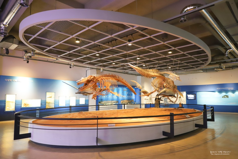 울산 여행 볼거리 장생포 고래박물관 고래생태체험관 모노레일