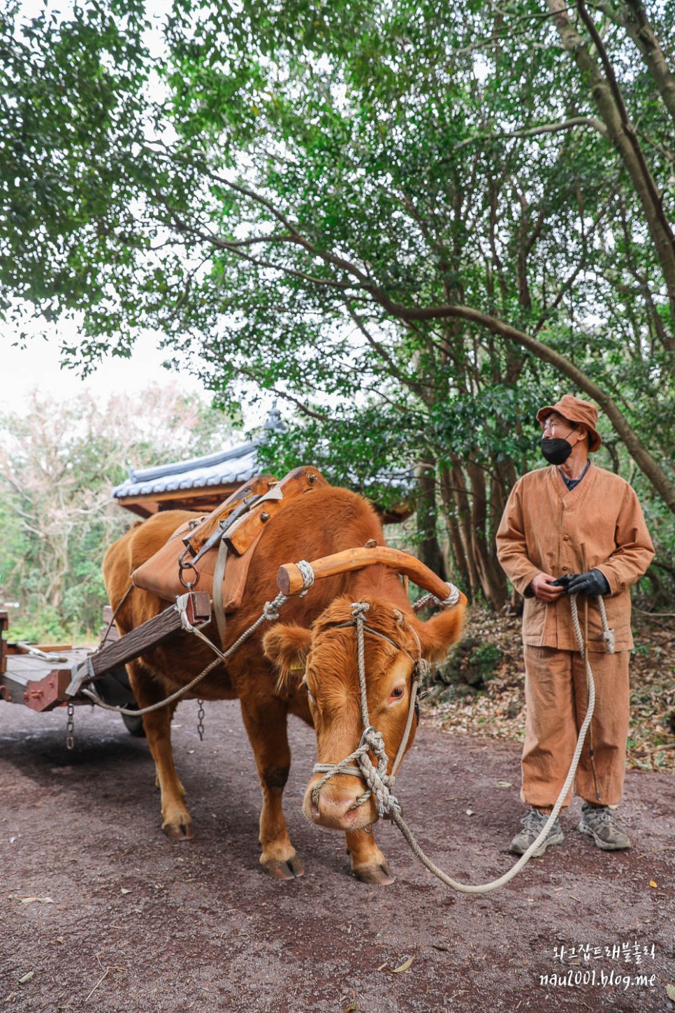 제주도 1박2일 가족여행 신화월드 주변 제주 갈만한곳