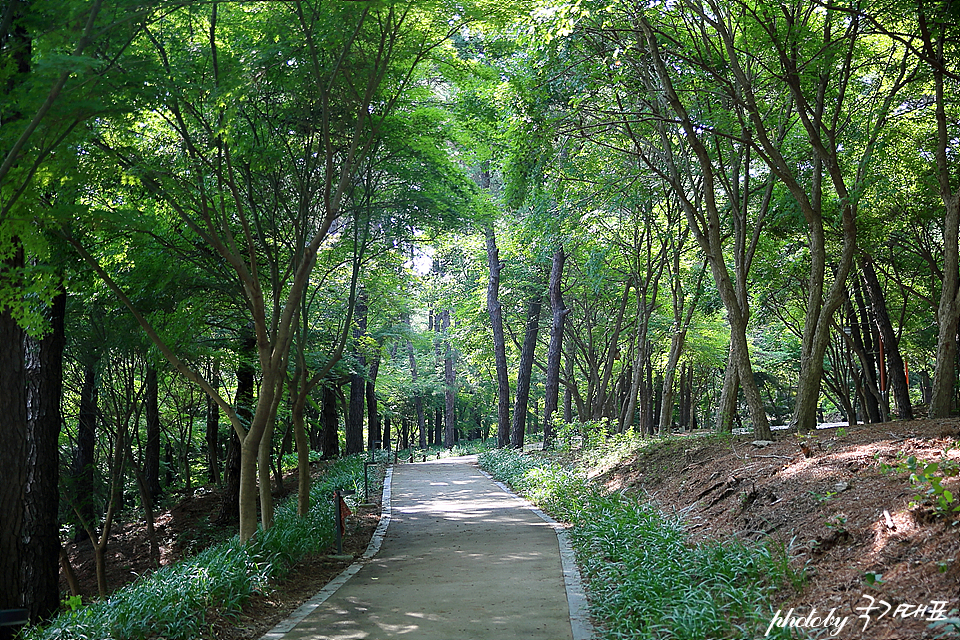 부여 부소산성 낙화암 부여 여름 여행 중앙시장