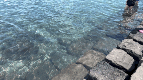 제주도 해수욕장 폐장일 여름바다 제주 표선해수욕장 풍경