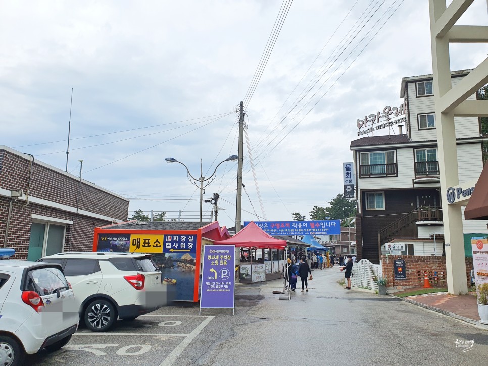 삼척 바다 여행코스 가볼만한곳 삼척 해상케이블카 용화해수욕장 장호항 어촌체험마을 관광지 볼거리