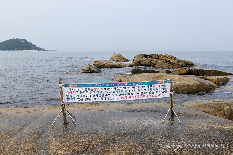 강원도 양양 가볼만한곳 양양 휴휴암 갈만한곳