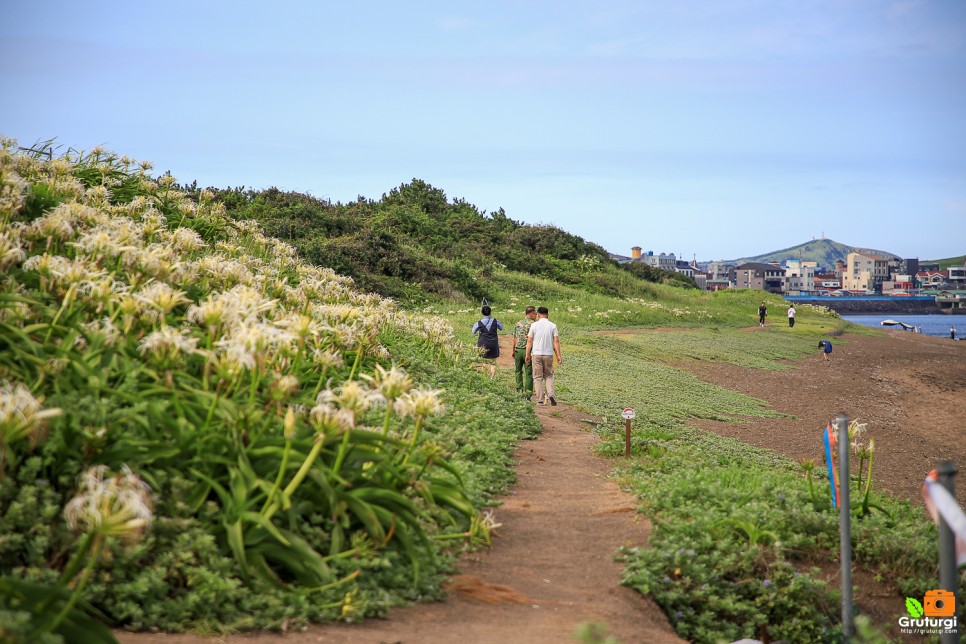 제주 동쪽 가볼만한곳 제주 성산 제주 동부 여행