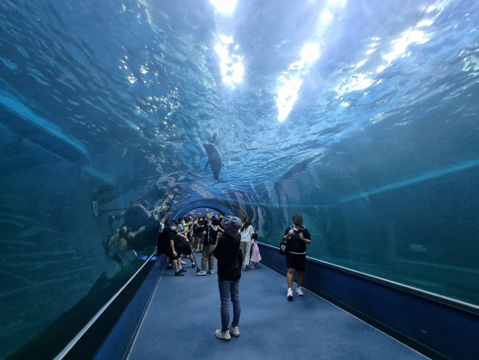 울산 여행 코스 장생포 고래박물관 고래생태체험관 여긴 어떤 곳?