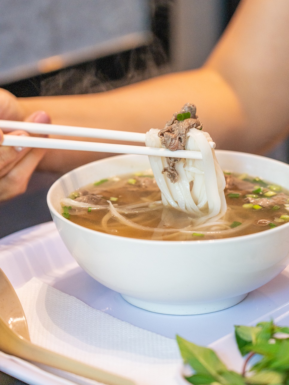 다낭 맛집 포비큐 쌀국수 베트남 음식