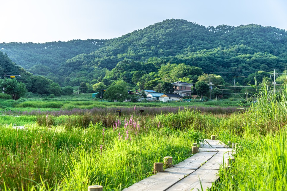 청주 여행, 걷기 좋은 나들이 명소 BEST 4 :: 청남대, 상당산성, 문의문화재단지, 수암골 벽화마을, 청주여행코스, 청주가볼만한곳, 충북가볼만한곳