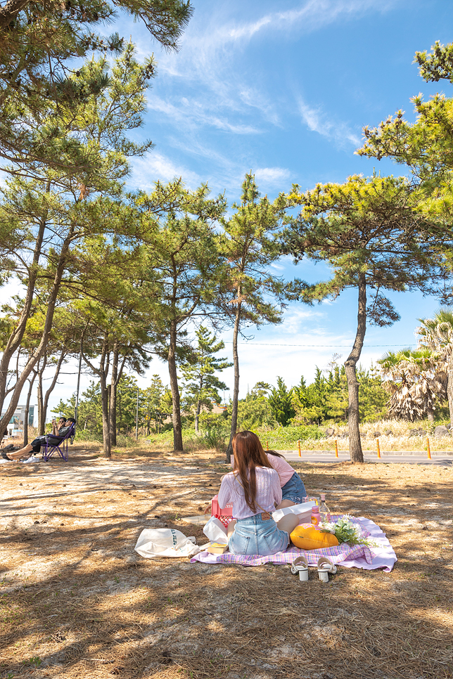 제주도 서쪽 코스 추천 애월 한담해안산책로 제주도 명소 여행지