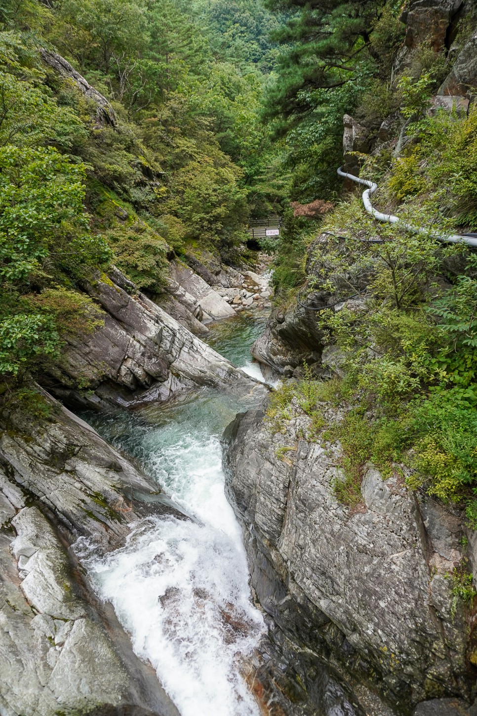 소백산 국립공원 단양 계곡이 있는 다리안관광지