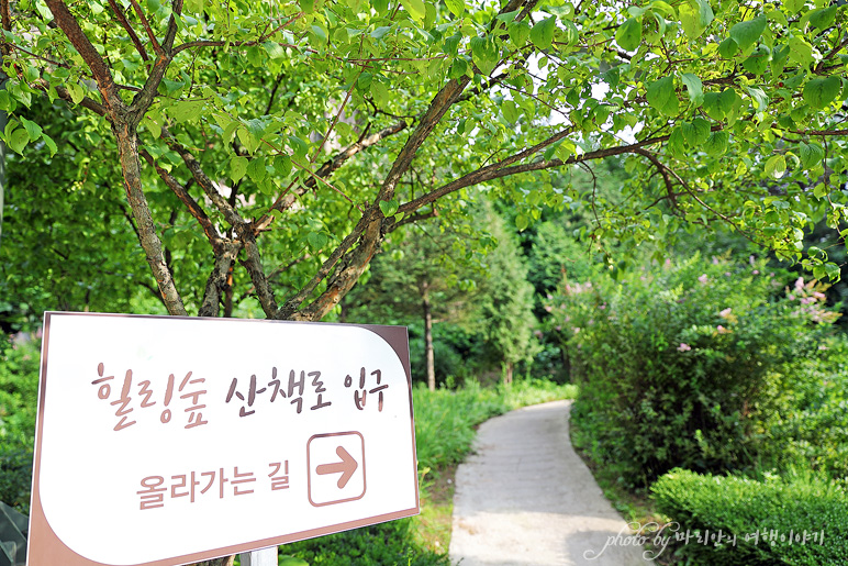 경기도 가볼만한곳 포천 아이와 갈만한 포천 아트밸리 천주호