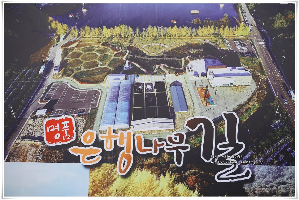 국내가을여행지 대전 근교 괴산여행 가볼만한곳 문광저수지 은행나무길,수옥폭포 등