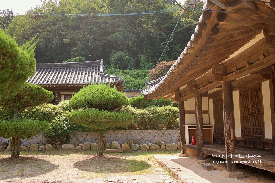 경남 여행 밀양 가볼만한곳 숲속마을 물놀이장 외 여행지