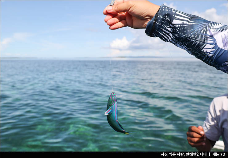 세부 호핑투어 예약 꿀팁 날루수안 힐루뚱안