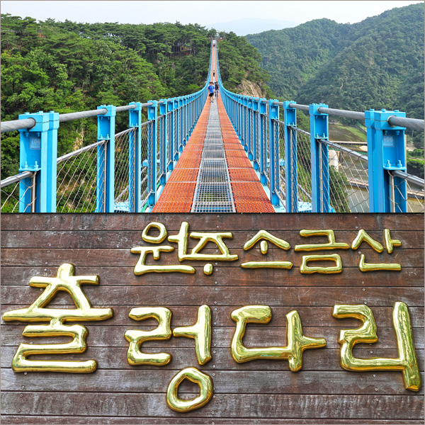 원주 소금산 출렁다리 간현유원지 관광지 원주 놀거리