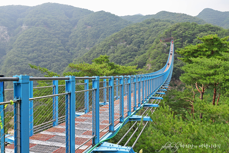 원주 소금산 출렁다리 간현유원지 관광지 원주 놀거리