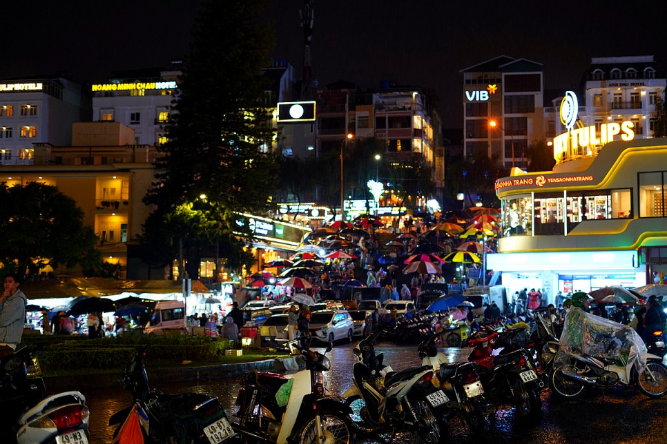 베트남 여행 달랏 여행 실시간