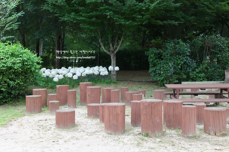 서울근교 공원 남양주 다산생태공원 8월 가볼만한곳 주차
