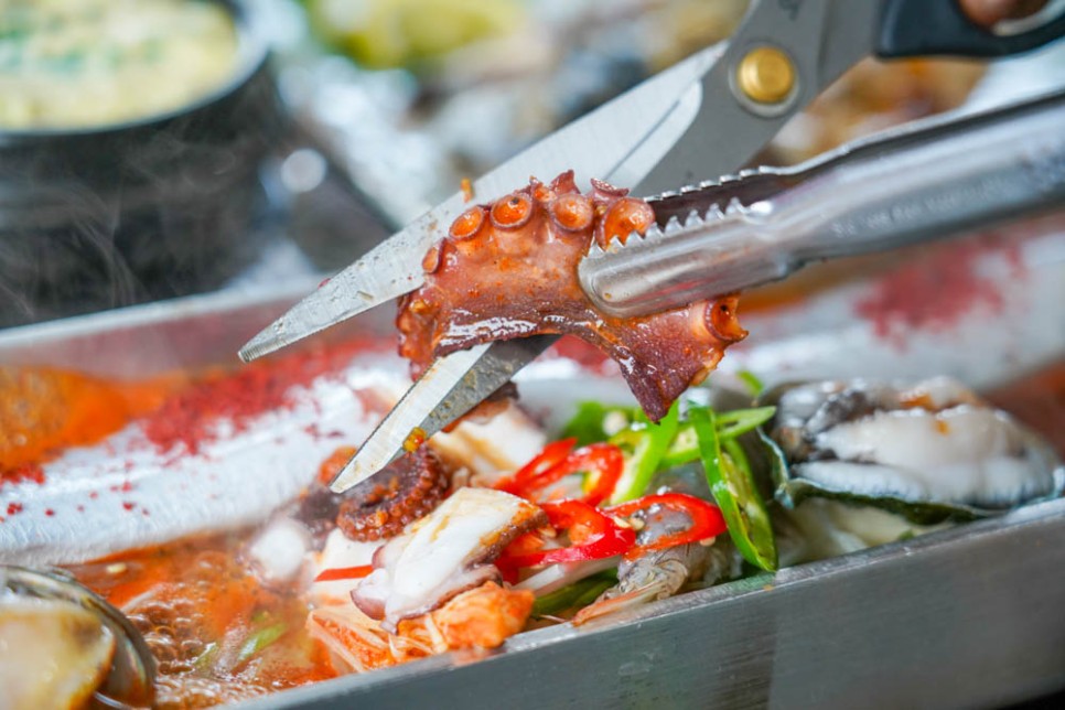 제주 애월 가볼만한곳 제주 갈치조림 맛집 포함 애월카페거리 코스