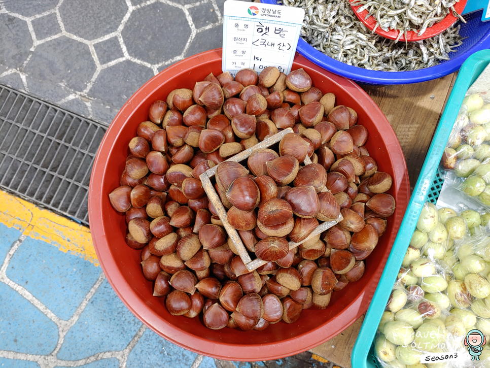 거제도 여행 거제 고현시장 먹거리 김밥 전 주차장