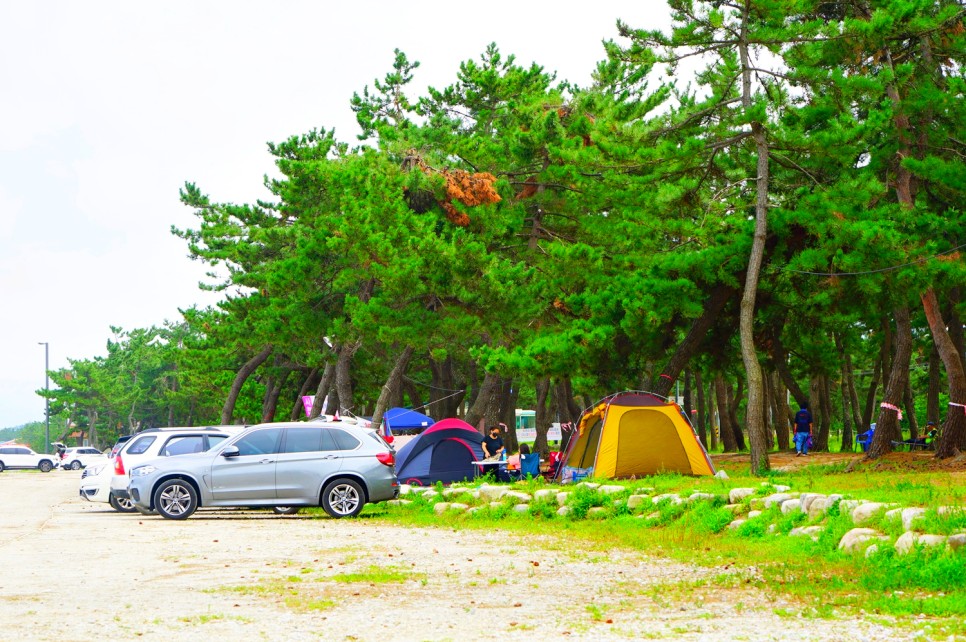 여행에 미치다 x 강릉 갈만한곳 5 안목해변 사천해변 강릉 여행 코스