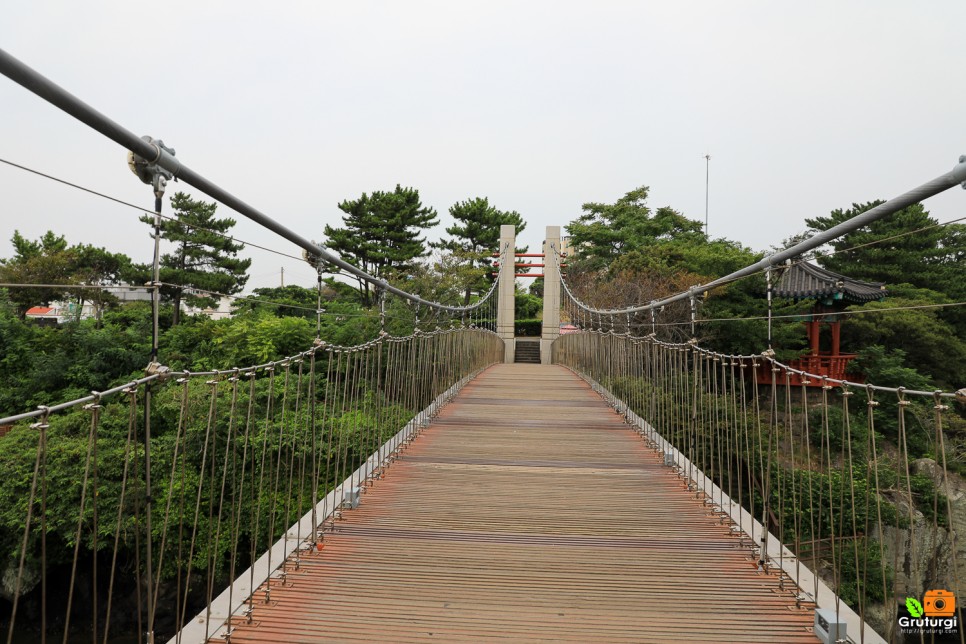 제주공항근처 가볼만한곳 제주시내 제주도 여행지 추천