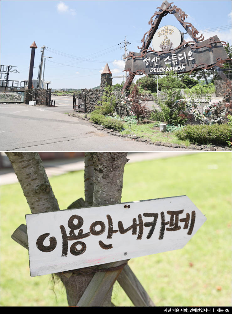 제주 동부 가볼만한곳 제주 성산 카페 드르쿰다 외