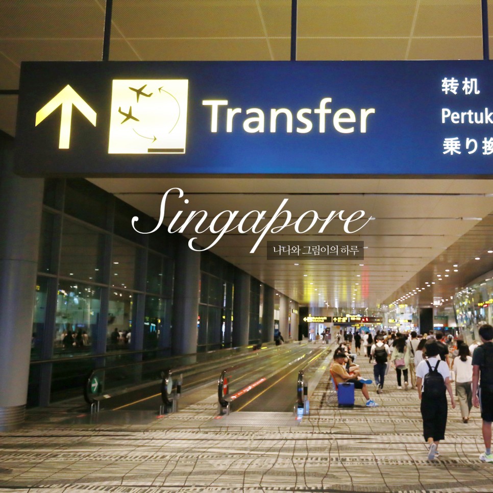 싱가포르 공항 픽업 새벽 도착도 정확해요