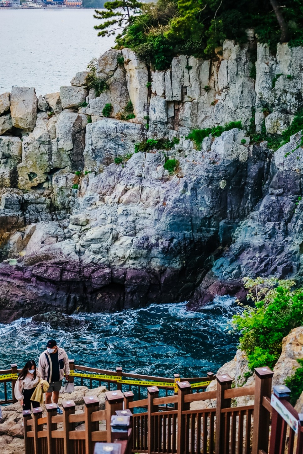 여수 가볼만한곳 케이블카 타고 다녀온 아름다운 섬 오동도 여행
