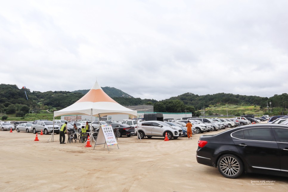 경남 여행 함양 가볼만한곳 상림공원 가을 꽃구경 함양 산삼축제