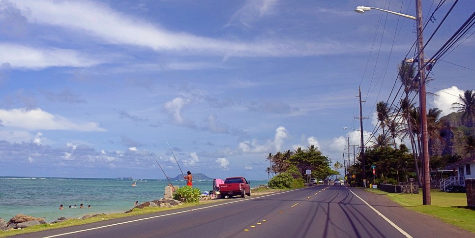 하와이 렌트카 비용 예약 보험 운전 주의사항 정보