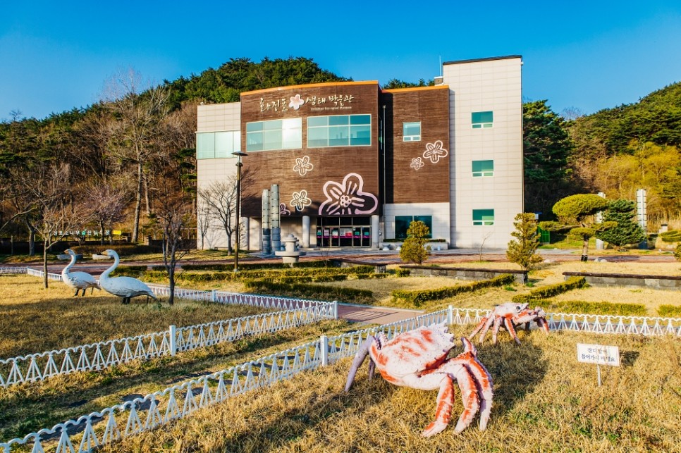 강원도 고성 가볼만한곳 화진포 해수욕장 생태박물관, 김일성별장