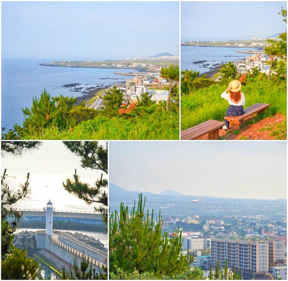 제주시 가볼만한곳 제주도 핫플 회심 포함 제주 뚜벅이 여행 코스