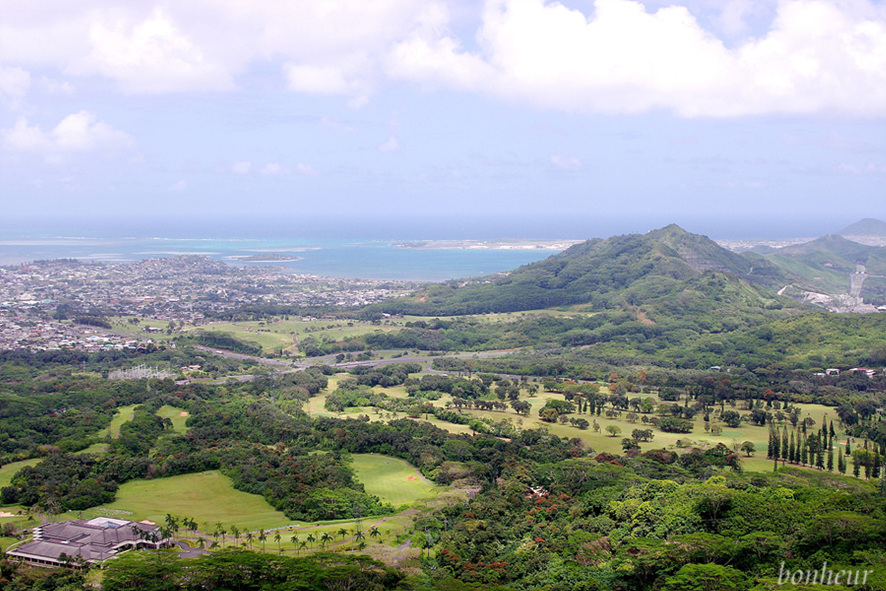 하와이 렌트카 여행 할인 예약정보와 허츠 업그레이드 이벤트