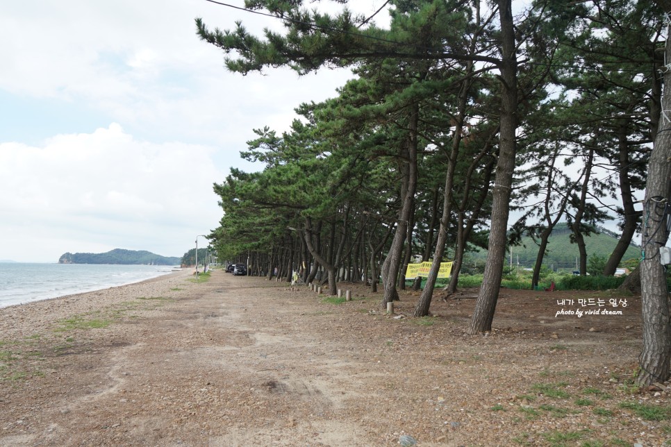 태안가볼만한곳 태안해변길6코스 샛별길 꽃지해변 샛별해변 국사봉 황포항