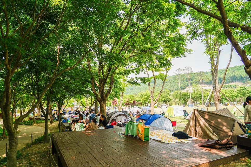 용인 자연휴양림 용인캠핑장 추천 예약 방법