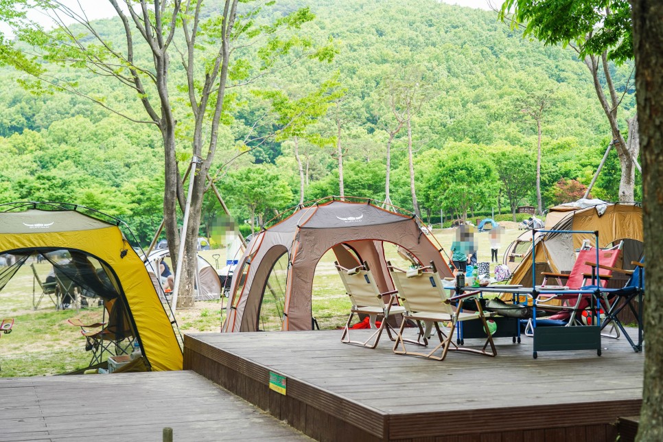 용인 자연휴양림 용인캠핑장 추천 예약 방법