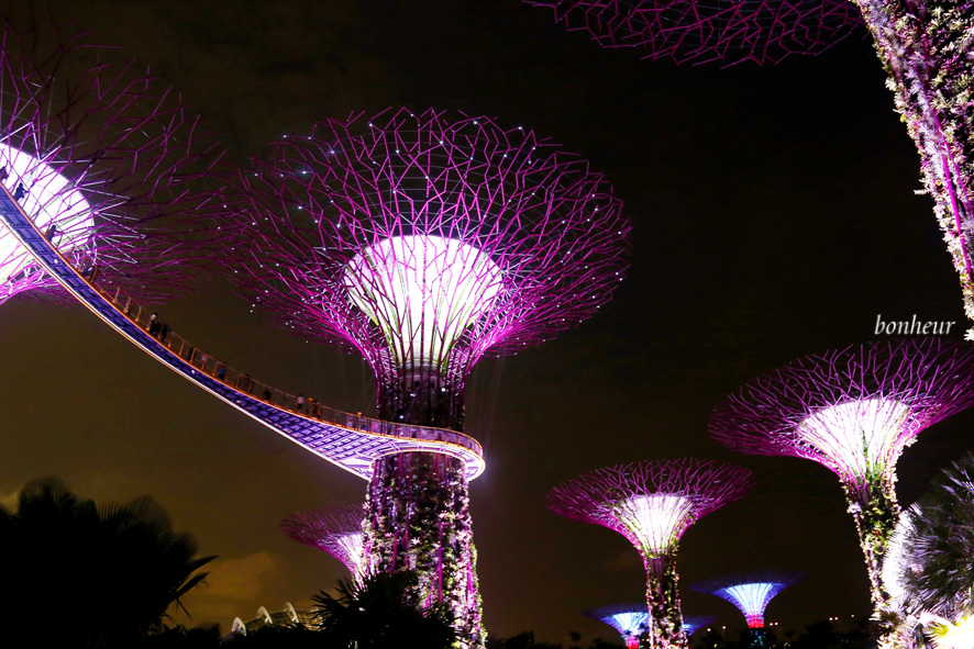 싱가포르 여행 가든스바이더베이 할인과 에어프레미아 무료 항공권