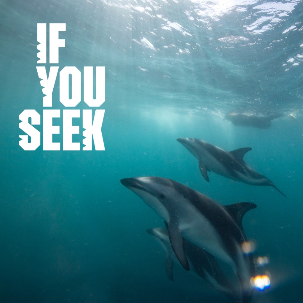 뉴질랜드 여행 기다리는 트래블러를 위한 글로벌 캠페인 론칭 이벤트 'If You Seek'