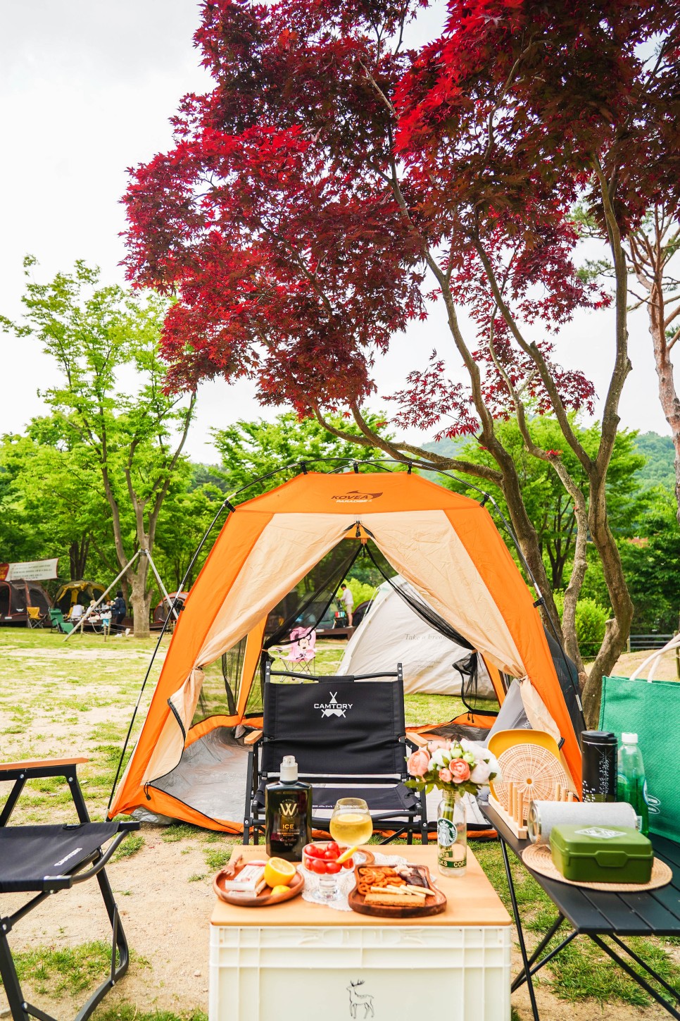 용인 자연휴양림 용인캠핑장 추천 예약 방법