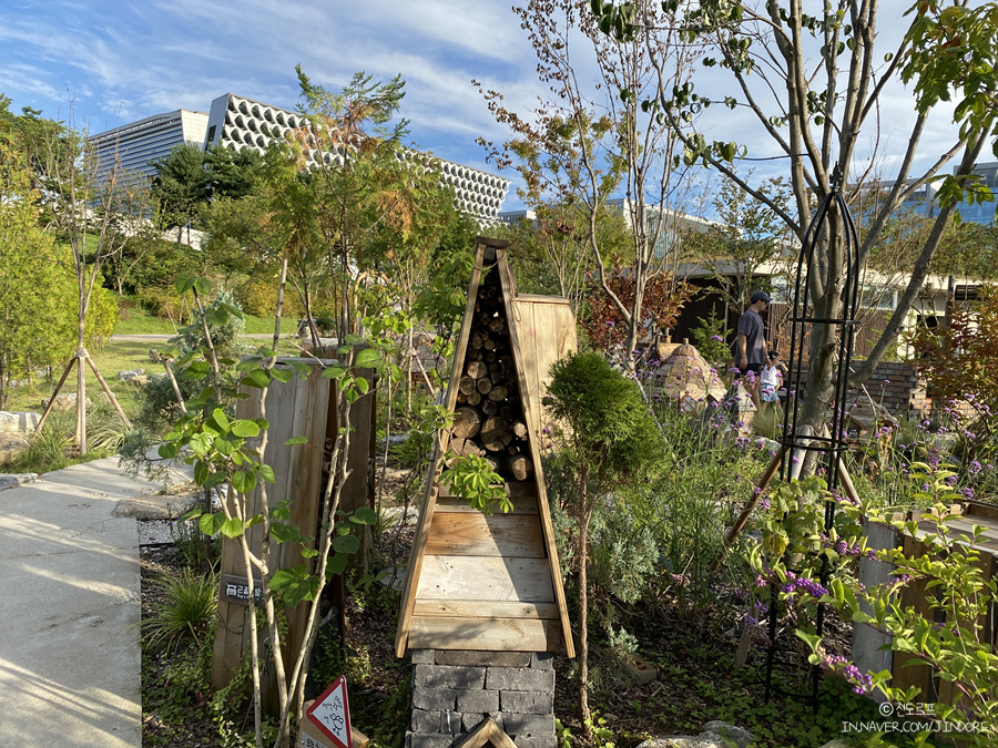마곡 놀거리 서울식물원 국내 가족여행 추천 가을나들이 피크닉 장소