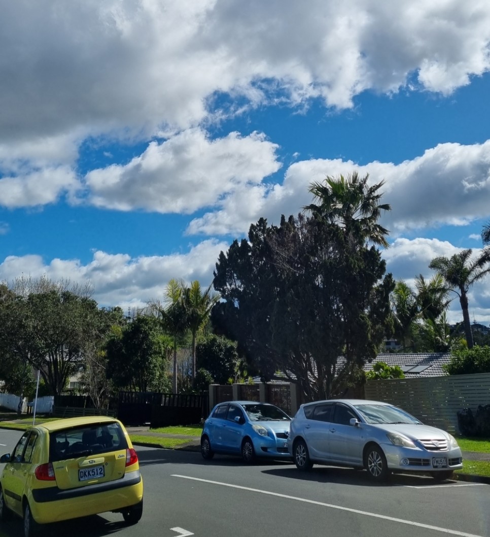 [블챌] 9월 2주차 주간 일기: 뉴질랜드 오클랜드 봄 일상