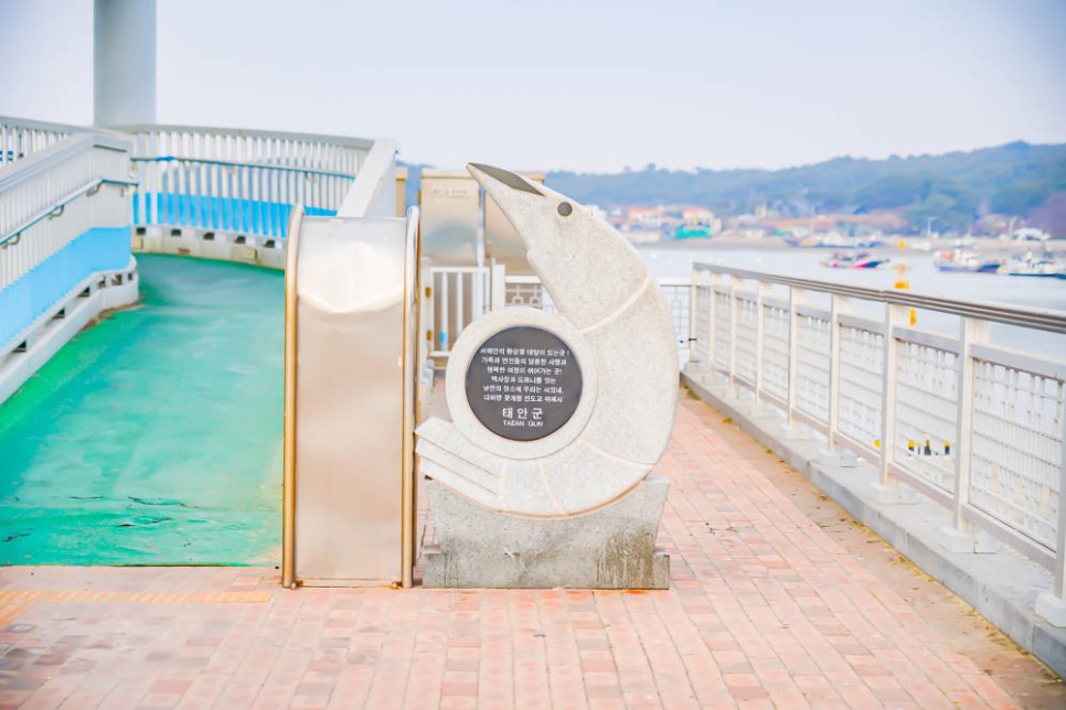 충청도 여행 태안 안면도 가볼만한곳 9월 안면도 여행코스